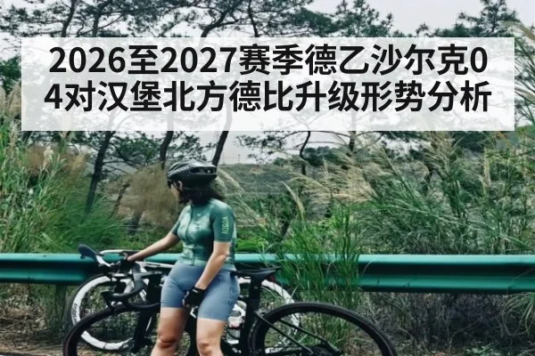 2026至2027赛季德乙沙尔克04对汉堡北方德比升级形势分析 | pg
